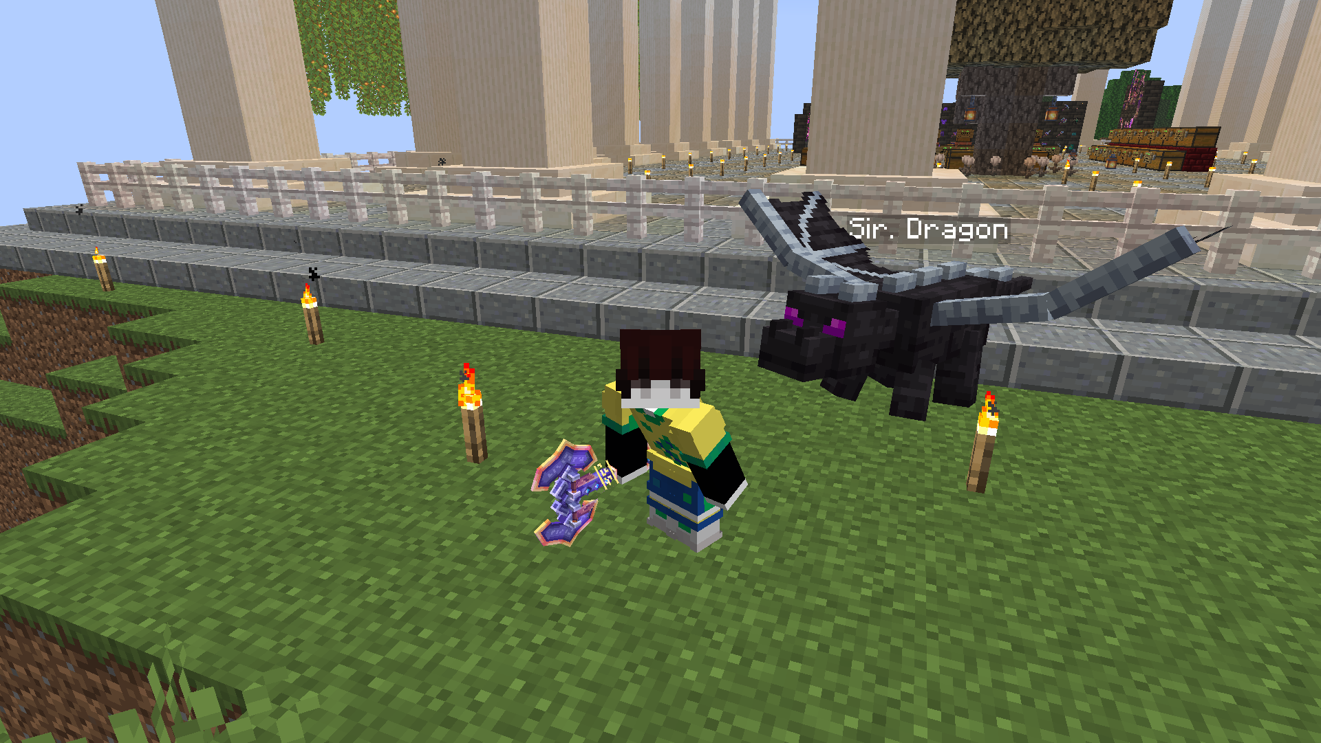 Novos Pets